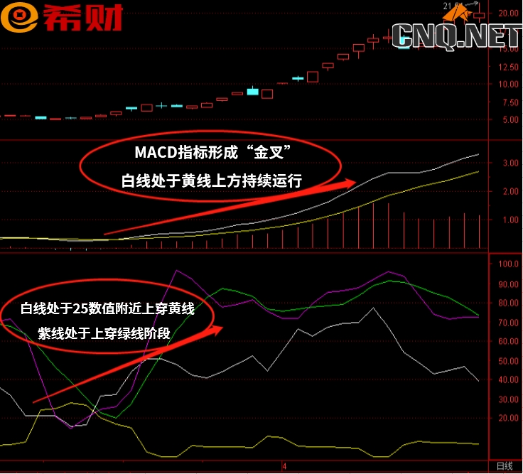 中线组合参考指标MACD +DMI该如何使用