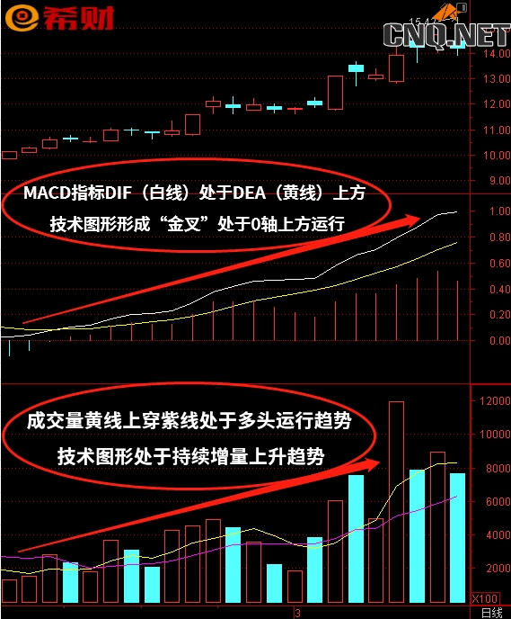 常用技术指标组合MACD+VOL（成交量）怎么使用