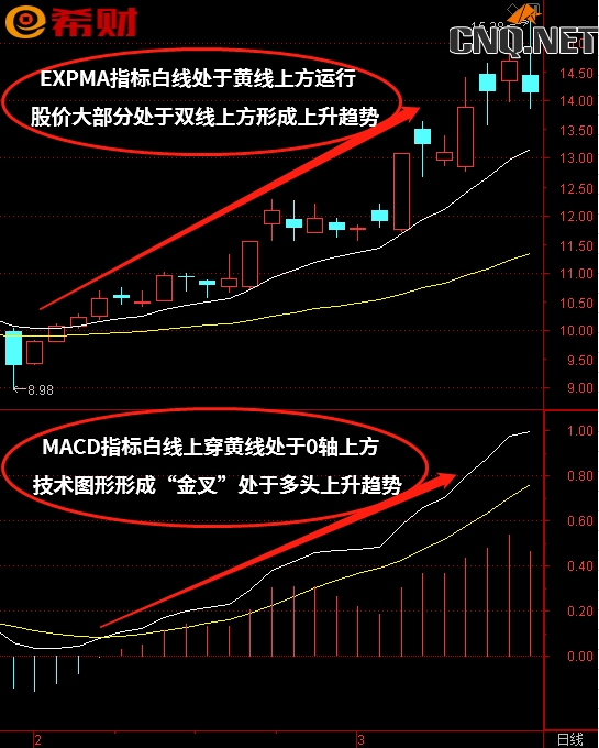 趋势中短线技术指标组合MACD+EXPMA如何使用