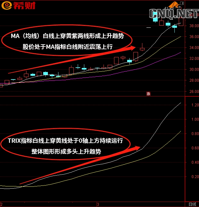 TRIX+MA（均线）技术指标组合如何使用