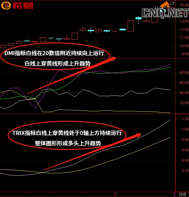 TRIX+DMI技术指标组合如何运用