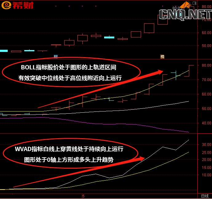 BOLL（布林线）+WVAD技术指标组合如何使用