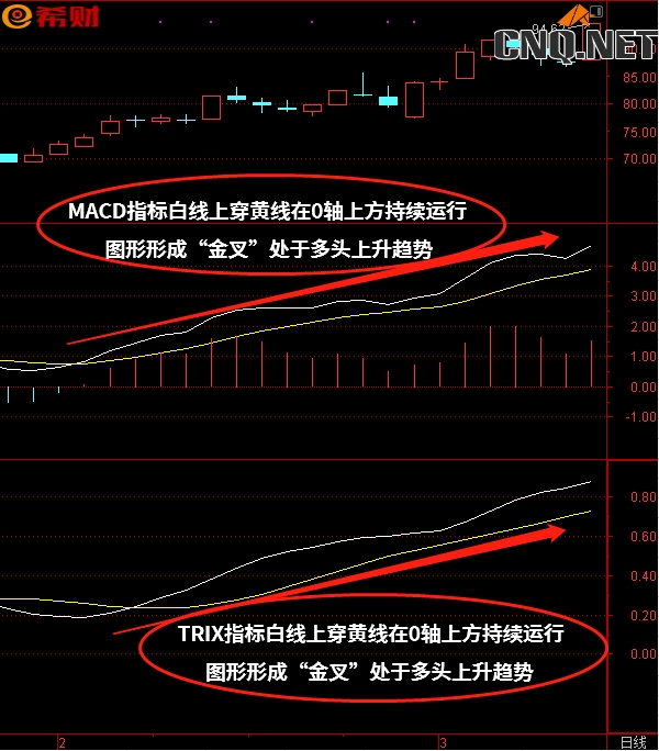 MACD+TRIX技术指标组合使用方法