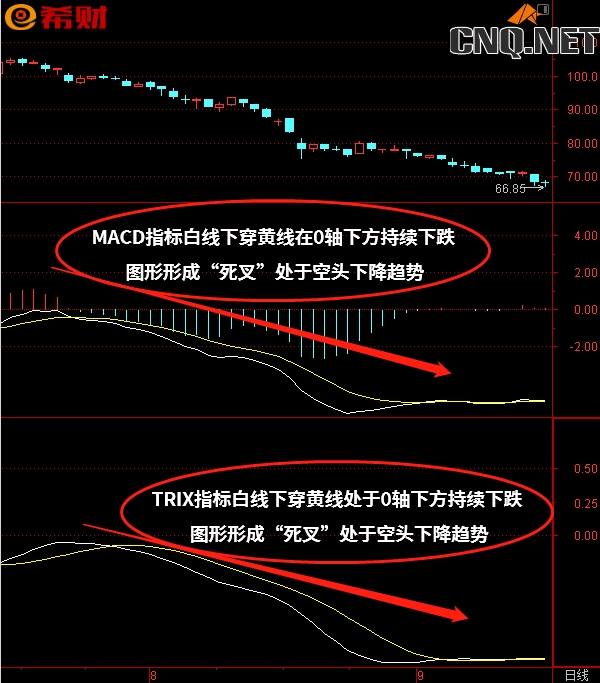 MACD+TRIX技术指标组合使用方法