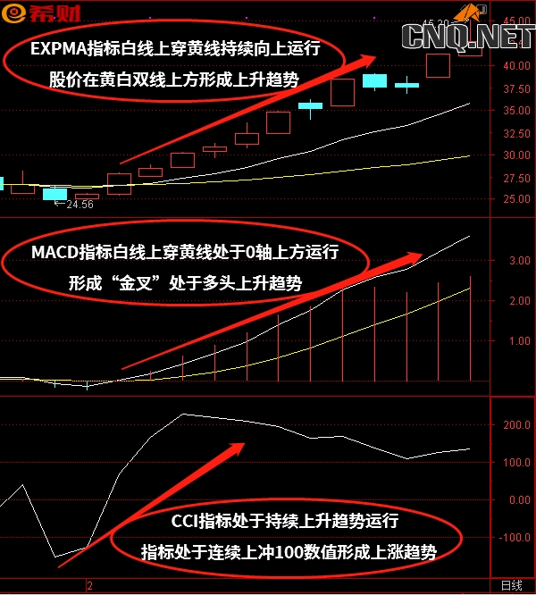 EXPMA+MACD+CCI技术指标组合如何参考