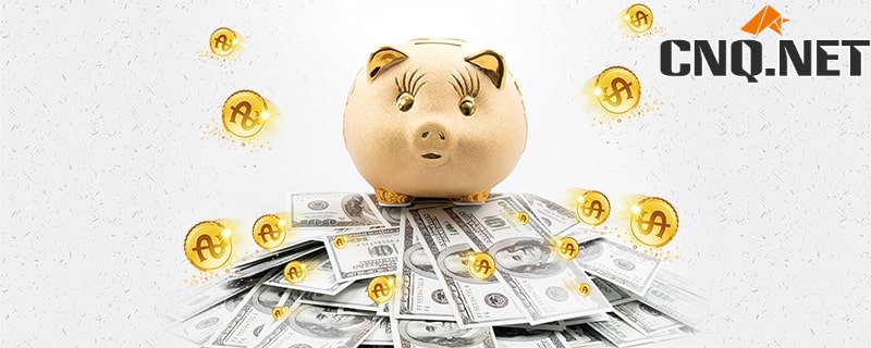 新手理财小白第三课：新手应该怎样买基金？