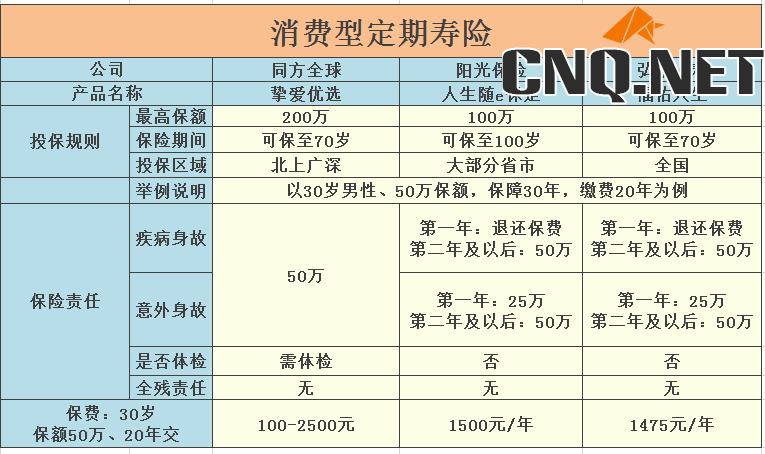 消费型定期寿险哪个好