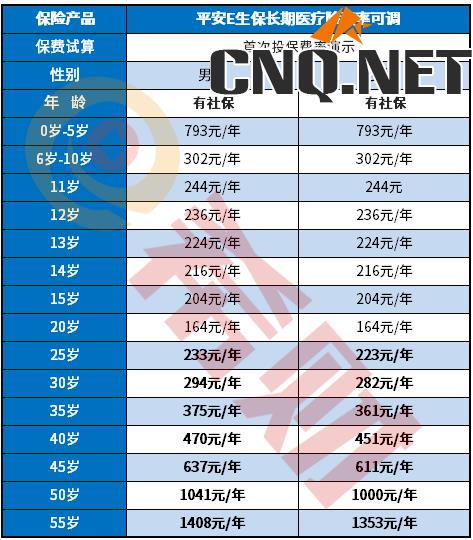 平安e生保的保费价格表