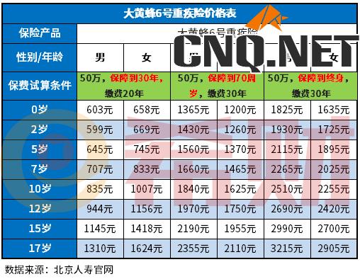 大黄蜂6号重疾险多少钱