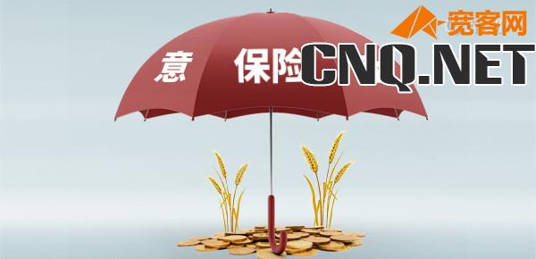 平安意外险保险一天在哪买？保费多少？