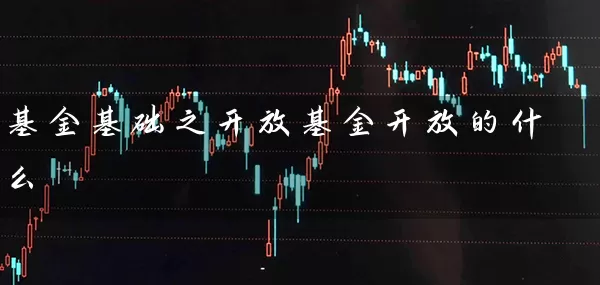 基金基础之开放基金开放的什么 (https://www.cnq.net/) 基金基础教程 第1张