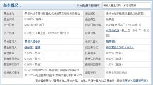 专精特新基金有哪些 目前有这些 基金基础教程 第2张-学习理财网 专精特新基金有哪些 目前有这些 (https://www.cnq.net/) 基金基础教程 第2张