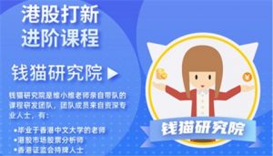 基石投资者是什么意思 港股怎么打新 (https://www.cnq.net/) 基金基础教程 第2张