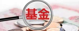 5000块钱买基金能赚多少 一天能赚300吗 (https://www.cnq.net/) 基金基础教程 第1张