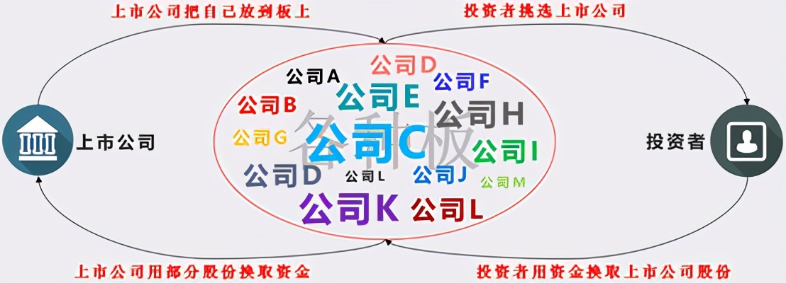 一文讲透A股中主板、中小板、创业板、科创板、新三板的核心区别 (https://www.cnq.net/) 股票基础教程 第1张