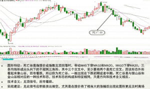 均线,一个合格的投资者必须要懂的指标 股票基础教程 第7张-学习理财网 均线,一个合格的投资者必须要懂的指标 (https://www.cnq.net/) 股票基础教程 第7张