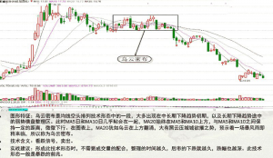 均线,一个合格的投资者必须要懂的指标 股票基础教程 第10张-学习理财网 均线,一个合格的投资者必须要懂的指标 (https://www.cnq.net/) 股票基础教程 第10张