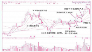最详细的均线系统讲解，读懂你你就是真正的炒股高手！ (https://www.cnq.net/) 股票基础教程 第6张