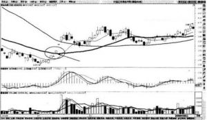 10分钟学会均线操盘 (https://www.cnq.net/) 股票基础教程 第4张