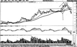 10分钟学会均线操盘 (https://www.cnq.net/) 股票基础教程 第5张