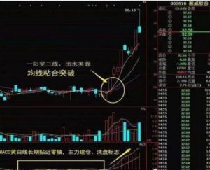 第一次有高手把“均线”运用得出神入化 (https://www.cnq.net/) 股票基础教程 第14张