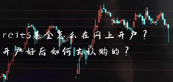 reits基金怎么在网上开户?开户好后如何去认购的？ (https://www.cnq.net/) 基金基础教程 第1张