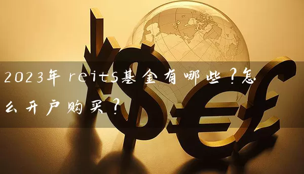 2023年reits基金有哪些？怎么开户购买？ (https://www.cnq.net/) 基金基础教程 第1张