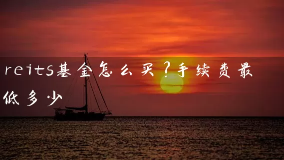 reits基金怎么买?手续费最低多少 基金基础教程 第1张-学习理财网 reits基金怎么买?手续费最低多少 (https://www.cnq.net/) 基金基础教程 第1张