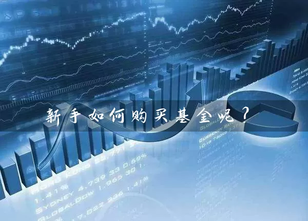 新手如何购买基金呢? 基金基础教程 第2张-学习理财网 新手如何购买基金呢? (https://www.cnq.net/) 基金基础教程 第2张