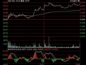分时图怎么看 指标分析 (https://www.cnq.net/) 股票基础教程 第1张