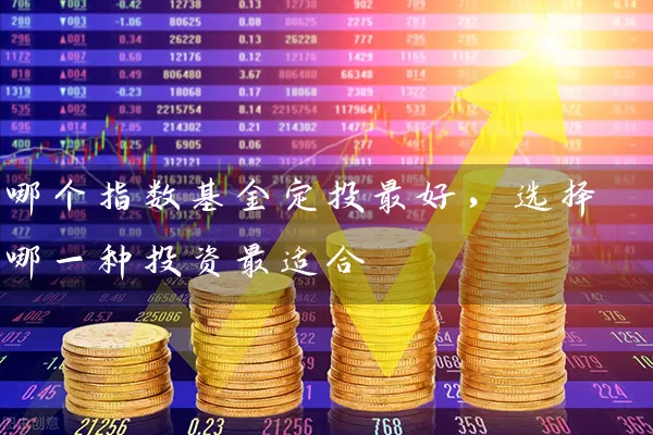 哪个指数基金定投最好，选择哪一种投资最适合 (https://www.cnq.net/) 基金基础教程 第1张