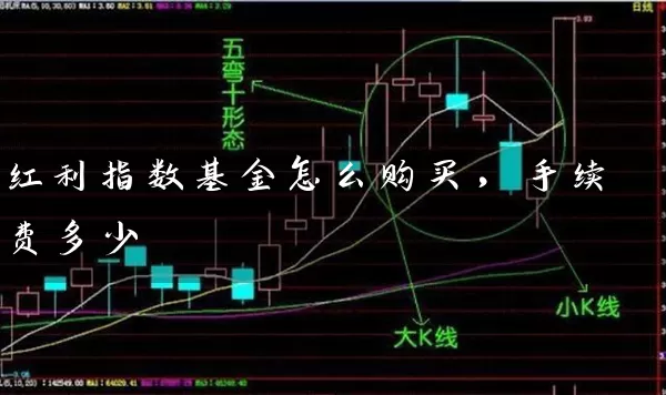 红利指数基金怎么购买，手续费多少 (https://www.cnq.net/) 基金基础教程 第1张