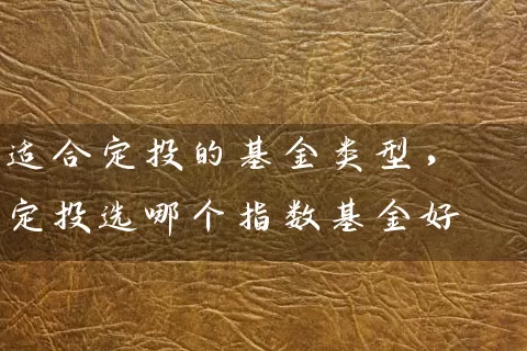 适合定投的基金类型，定投选哪个指数基金好 (https://www.cnq.net/) 基金基础教程 第1张