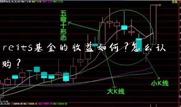 reits基金的收益如何？怎么认购？ (https://www.cnq.net/) 基金基础教程 第1张
