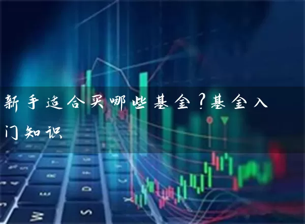新手适合买哪些基金？基金入门知识 (https://www.cnq.net/) 基金基础教程 第1张