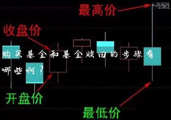 购买基金和基金赎回的步骤有哪些啊? 基金基础教程 第1张-学习理财网 购买基金和基金赎回的步骤有哪些啊? (https://www.cnq.net/) 基金基础教程 第1张