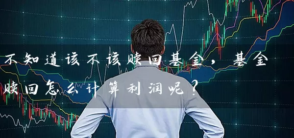 不知道该不该赎回基金,基金赎回怎么计算利润呢? 基金基础教程 第1张-学习理财网 不知道该不该赎回基金,基金赎回怎么计算利润呢? (https://www.cnq.net/) 基金基础教程 第1张