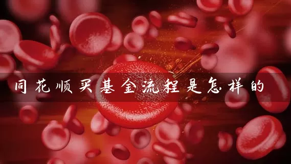 同花顺买基金流程是怎样的 基金基础教程 第1张-学习理财网 同花顺买基金流程是怎样的 (https://www.cnq.net/) 基金基础教程 第1张