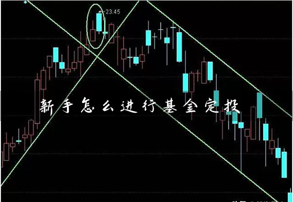 新手怎么进行基金定投 (https://www.cnq.net/) 基金基础教程 第1张
