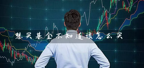 想买基金不知道该怎么买 (https://www.cnq.net/) 基金基础教程 第1张