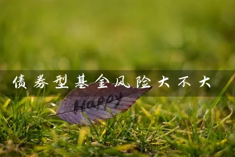 债券型基金风险大不大 (https://www.cnq.net/) 基金基础教程 第1张