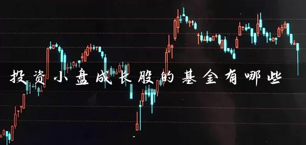投资小盘成长股的基金有哪些 (https://www.cnq.net/) 基金基础教程 第1张