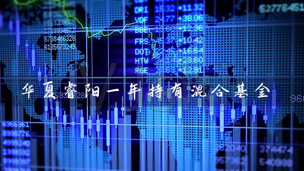 华夏睿阳一年持有混合基金 基金基础教程 第1张-学习理财网 华夏睿阳一年持有混合基金 (https://www.cnq.net/) 基金基础教程 第1张