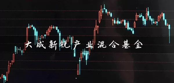 大成新锐产业混合基金 (https://www.cnq.net/) 基金基础教程 第1张