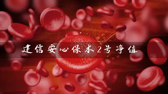 建信安心保本2号净值 (https://www.cnq.net/) 基金基础教程 第1张