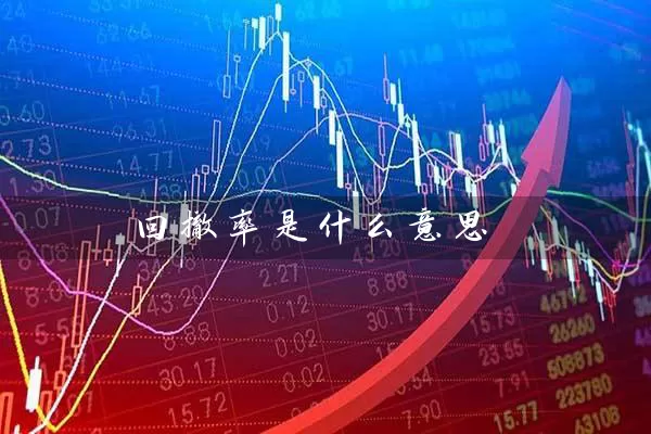 回撤率是什么意思 基金基础教程 第1张-学习理财网 回撤率是什么意思 (https://www.cnq.net/) 基金基础教程 第1张