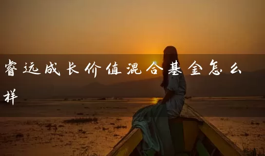 睿远成长价值混合基金怎么样 基金基础教程 第1张-学习理财网 睿远成长价值混合基金怎么样 (https://www.cnq.net/) 基金基础教程 第1张