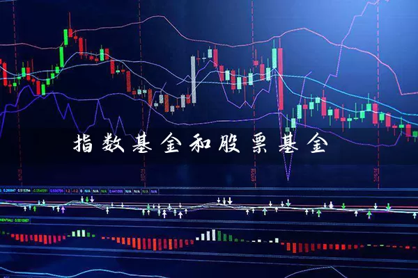 指数基金和股票基金 基金基础教程 第1张-学习理财网 指数基金和股票基金 (https://www.cnq.net/) 基金基础教程 第1张