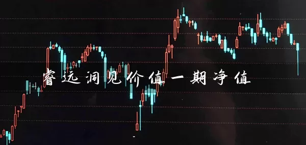 睿远洞见价值一期净值 (https://www.cnq.net/) 基金基础教程 第1张