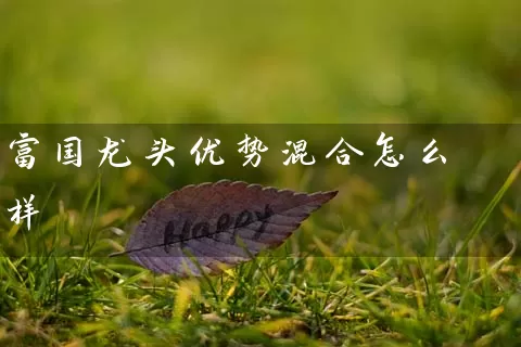 富国龙头优势混合怎么样 (https://www.cnq.net/) 基金基础教程 第1张